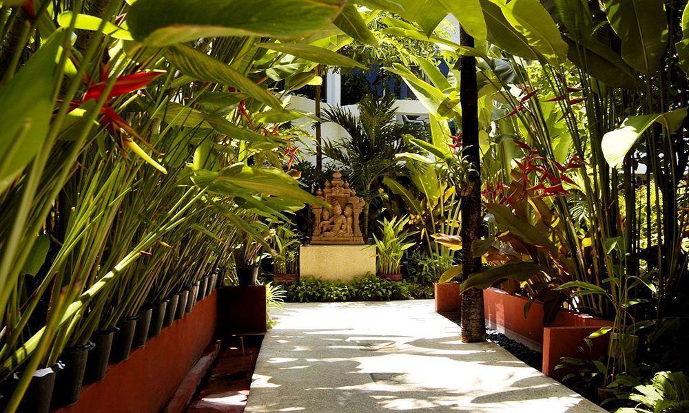 Safari Beach Hotel Patong Luaran gambar